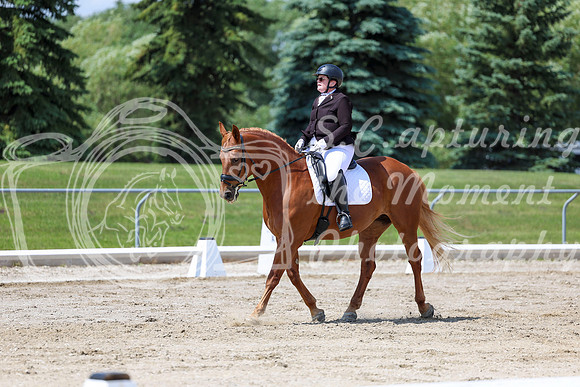 2025 - Dressage Festival - Saturday July 5th - 09327