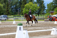 2025 - Dressage Festival - Sunday July 6th - 14395
