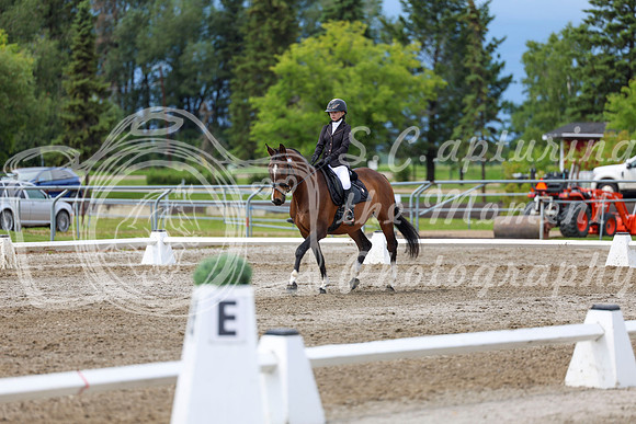 2025 - Dressage Festival - Sunday July 6th - 14395