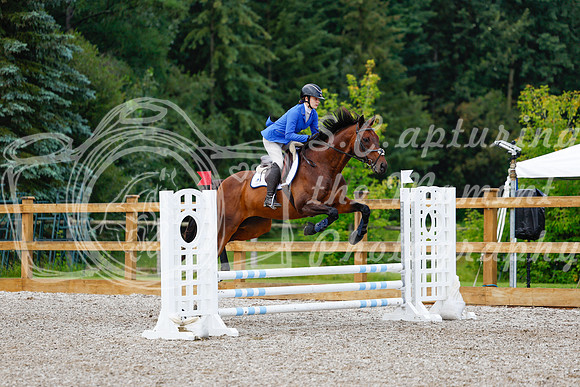 2025 - Haylee - Picco Horse Show - Sunday July 27th 01788