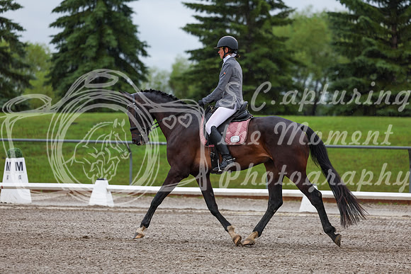 2025 - Dressage Festival - Sunday July 6th - 00630