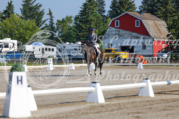 2025 - Dressage Festival - Saturday July 5th - 00111