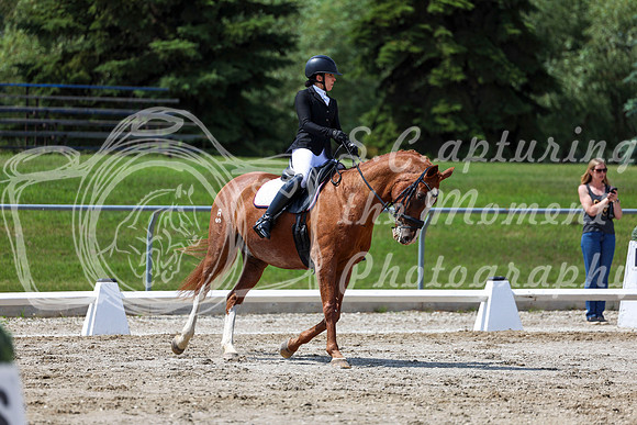 2025 - Dressage Festival - Saturday July 5th - 10138