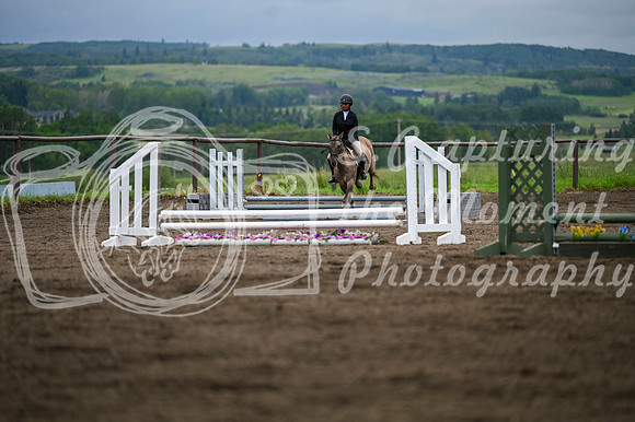 2025 - MJ - Teesdale - Saturday July 26th - 09235