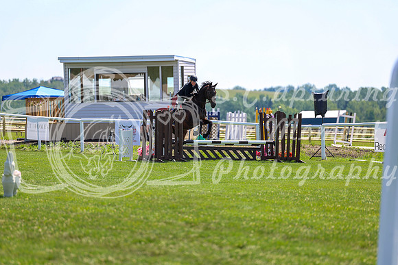 2025 - Shea - Teesdale - Thursday July 24th - 01004