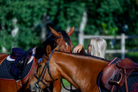 2025 - Haylee - Picco Horse Show - Thursday July 24th 00015