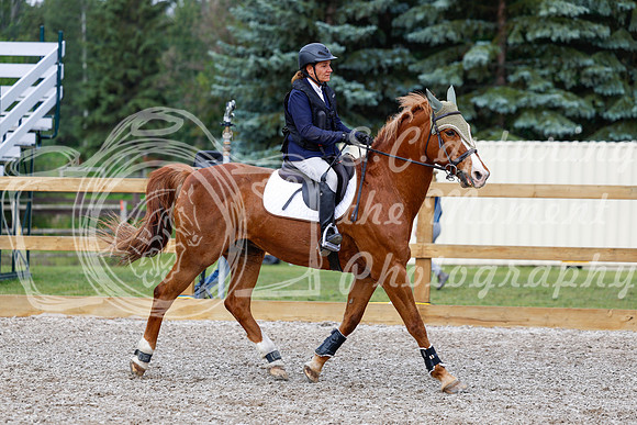 2025 - Haylee - Picco Horse Show - Saturday July 26th 03130