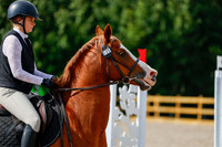 2025 - Haylee - Picco Horse Show - Thursday July 24th 01303