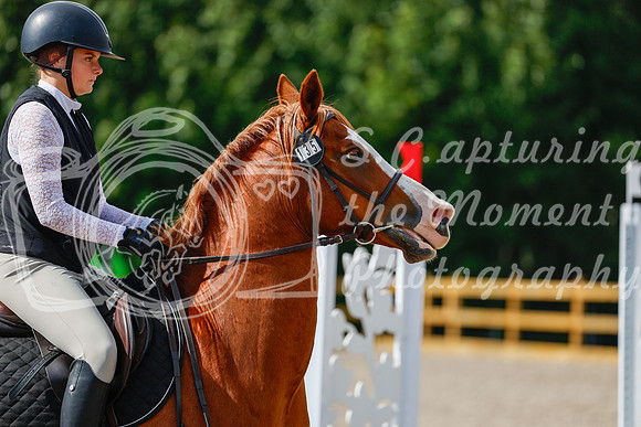 2025 - Haylee - Picco Horse Show - Thursday July 24th 01303