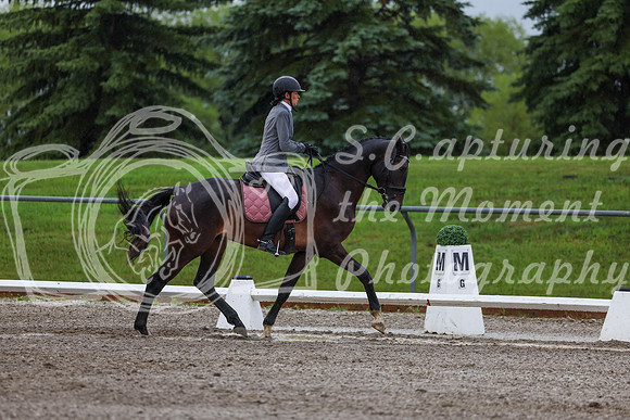 2025 - Dressage Festival - Sunday July 6th - 00638