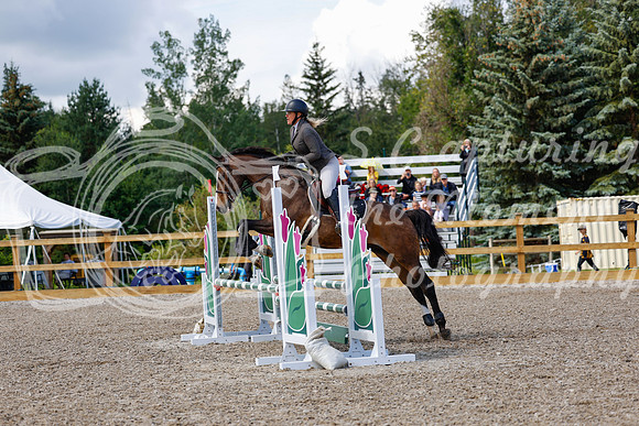 2025 - Haylee - Picco Horse Show - Sunday July 27th 02942