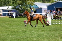 2025 - Shea - Teesdale - Thursday July 24th - 01733