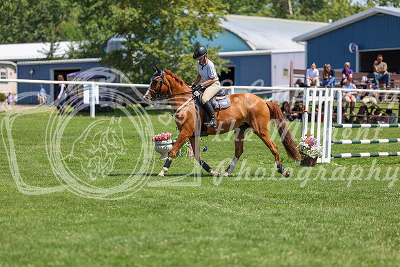 2025 - Shea - Teesdale - Thursday July 24th - 01733