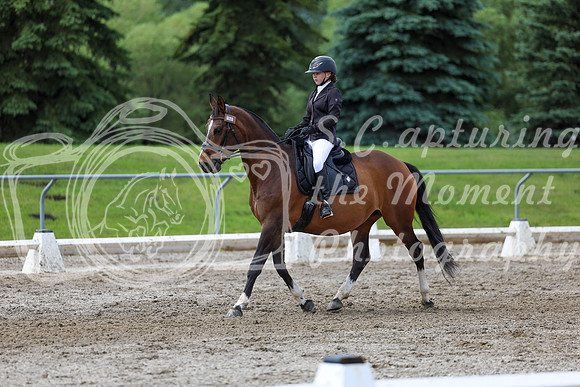 2025 - Dressage Festival - Sunday July 6th - 14408