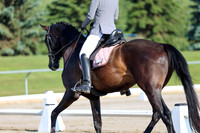 2025 - Dressage Festival - Saturday July 5th - 00092