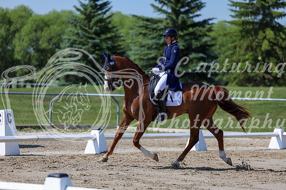 2025 - Dressage Festival - Saturday July 5th - 04275
