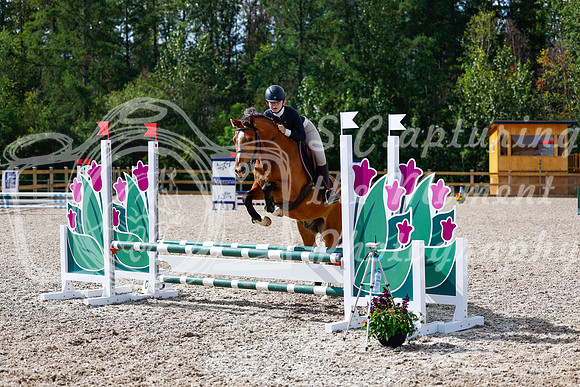 2025 - Haylee - Picco Horse Show - Thursday July 24th 01117
