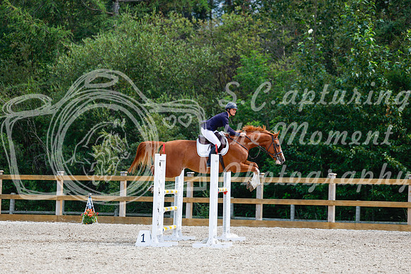 2025 - Haylee - Picco Horse Show - Sunday July 27th 05781