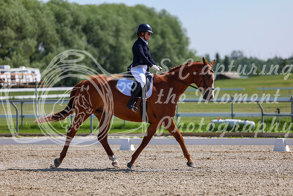 2025 - Dressage Festival - Saturday July 5th - 04802