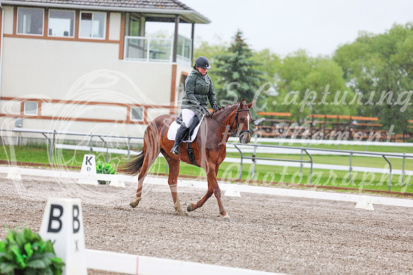 2025 - Dressage Festival - Sunday July 6th - 03571