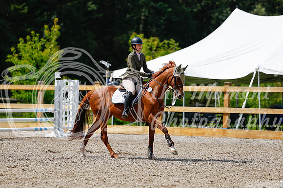 2025 - Haylee - Picco Horse Show - Sunday July 27th 03142