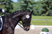 2025 - Dressage Festival - Saturday July 5th - 03555