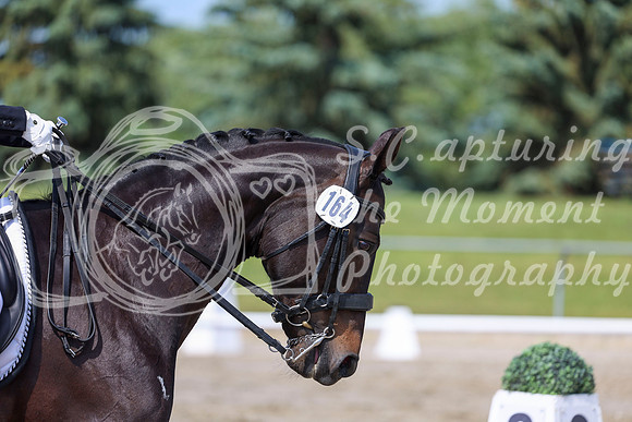 2025 - Dressage Festival - Saturday July 5th - 03555