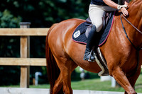 2025 - Haylee - Picco Horse Show - Thursday July 24th 04222