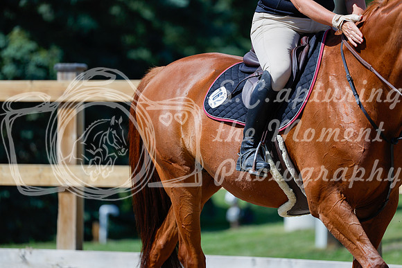 2025 - Haylee - Picco Horse Show - Thursday July 24th 04222