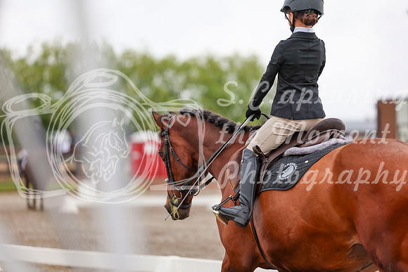 2025 - Dressage Festival - Sunday July 6th - 01800