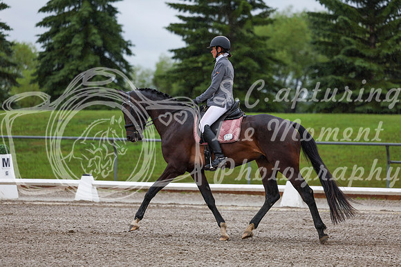 2025 - Dressage Festival - Sunday July 6th - 00629