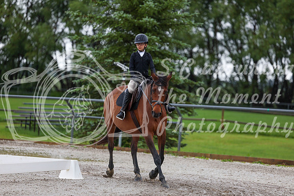 2025 - Dressage Festival - Sunday July 6th - 01802