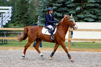 2025 - Haylee - Picco Horse Show - Saturday July 26th 03129