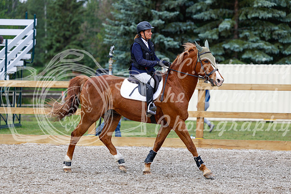 2025 - Haylee - Picco Horse Show - Saturday July 26th 03129