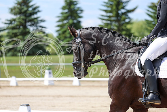 2025 - Dressage Festival - Saturday July 5th - 06973
