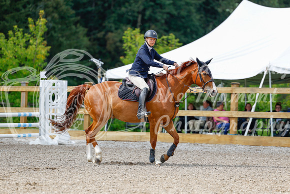 2025 - Haylee - Picco Horse Show - Sunday July 27th 02660