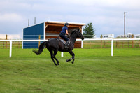 2025 - Shea - Teesdale - Friday July 25th - 07920