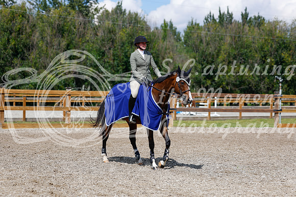 2025 - Haylee - Picco Horse Show - Sunday July 27th 05526