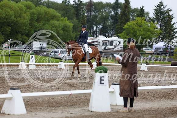 2025 - Dressage Festival - Sunday July 6th - 05217