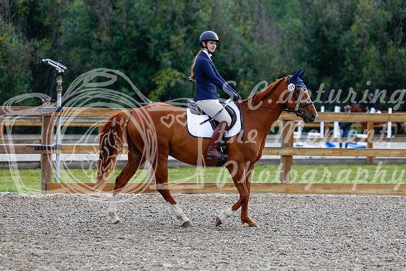 2025 - Haylee - Picco Horse Show - Saturday July 26th 00524