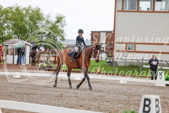2025 - Dressage Festival - Sunday July 6th - 01812