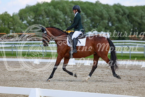 2025 - Dressage Festival - Saturday July 5th - 09504