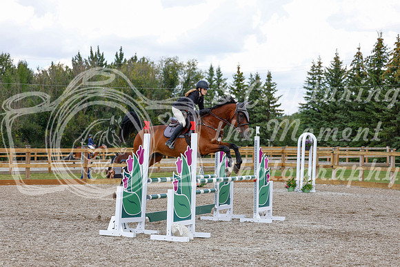 2025 - Haylee - Picco Horse Show - Saturday July 26th 06841
