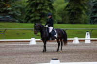 2025 - Dressage Festival - Sunday July 6th - 00012