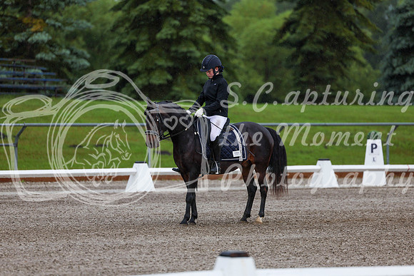 2025 - Dressage Festival - Sunday July 6th - 00012