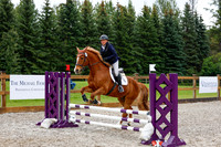 2025 - Haylee - Picco Horse Show - Sunday July 27th 01384