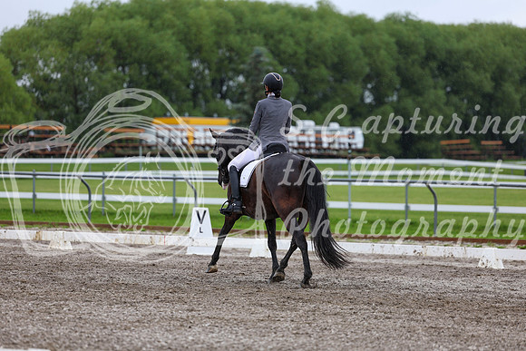 2025 - Dressage Festival - Sunday July 6th - 07113