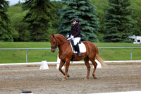 2025 - Dressage Festival - Sunday July 6th - 11298