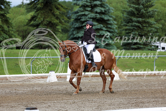 2025 - Dressage Festival - Sunday July 6th - 11298