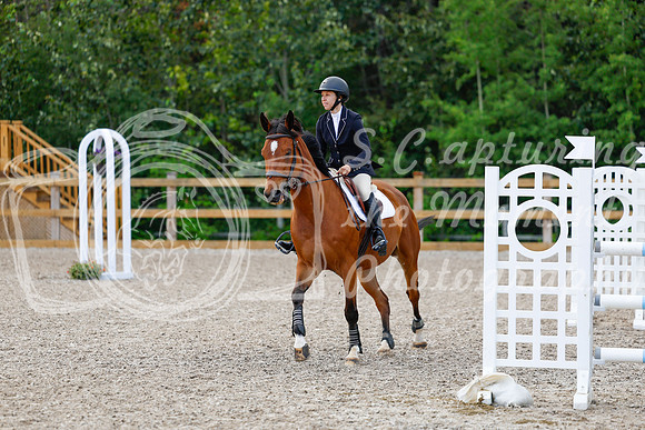 2025 - Haylee - Picco Horse Show - Sunday July 27th 04820